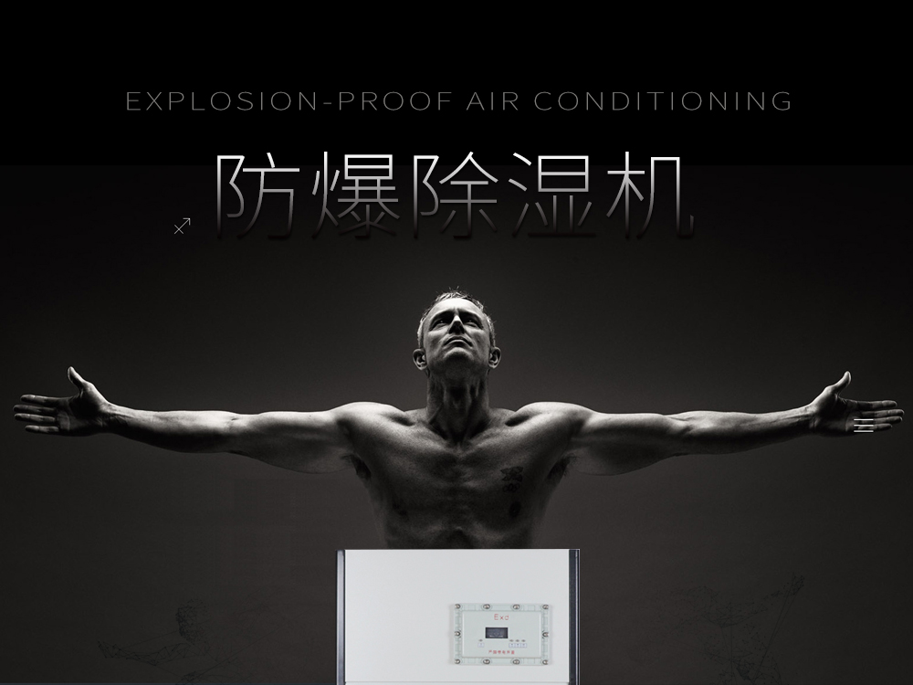 1、艾普生防爆工業(yè)除濕機(jī)-核心防爆-無(wú)所不防.jpg