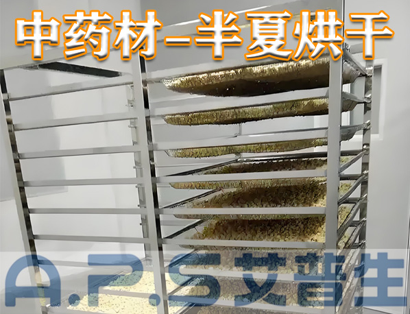 中藥材半夏烘干，除了傳統(tǒng)的烘干方法，首選推薦使用艾普生空氣能熱泵烘干機