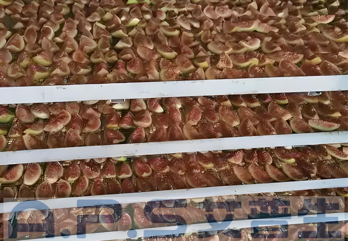 8、無花果烘干 詳情頁=2.jpg